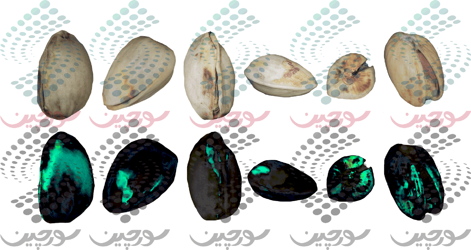 تشخیص آفلاتوکسین